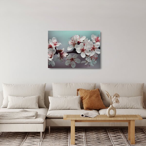 Obraz na szkle - kwiat - czerwony (70x50 cm)