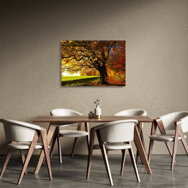 Obraz na szkle - jesień (70x50 cm)