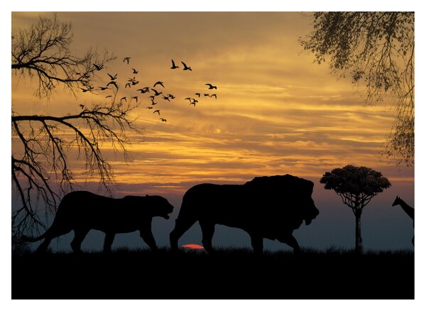 Obraz na szkle - Safari (70x50 cm)