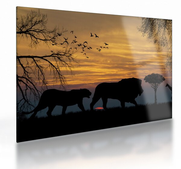 Obraz na szkle - Safari (70x50 cm)