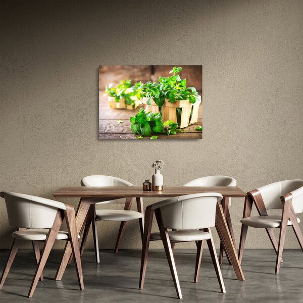 Obraz na szkle - świeża mięta (70x50 cm)