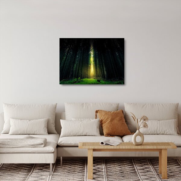 Obraz na szkle - ciemny las (70x50 cm)