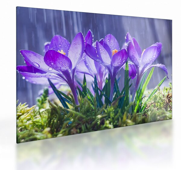 Obraz na szkle - kwiaty w deszczu (70x50 cm)