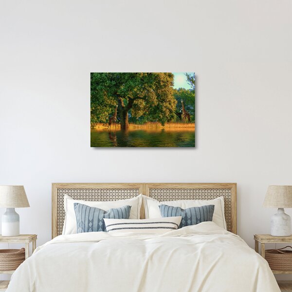 Obraz na szkle - żyrafy w naturze (70x50 cm)