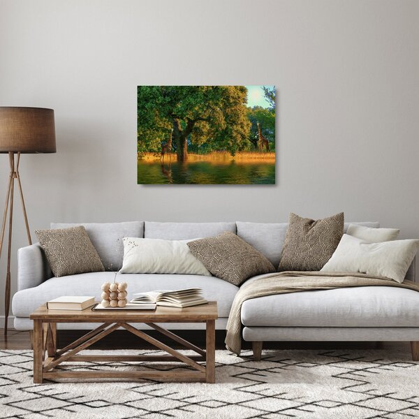 Obraz na szkle - żyrafy w naturze (70x50 cm)