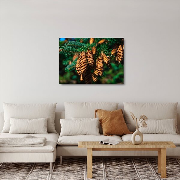 Obraz na szkle - szyszki (70x50 cm)