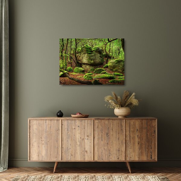 Obraz na szkle - magiczny las (70x50 cm)