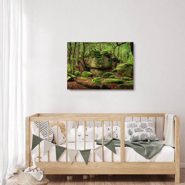 Obraz na szkle - magiczny las (70x50 cm)