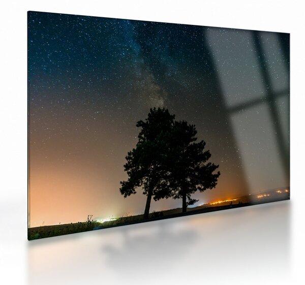 Obraz na szkle - nocne niebo z drzewami (70x50 cm)