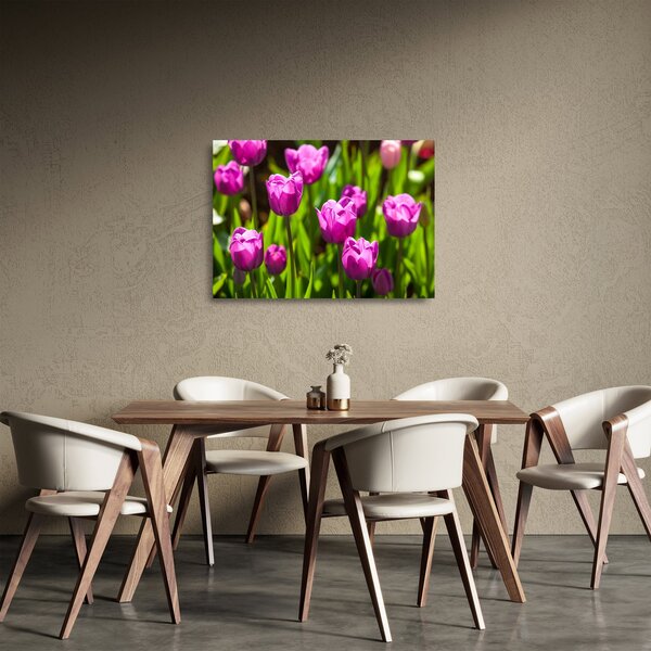 Obraz na szkle - tulipany na łące (70x50 cm)