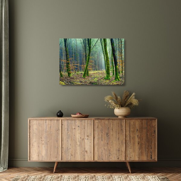 Obraz na szkle - las (70x50 cm)