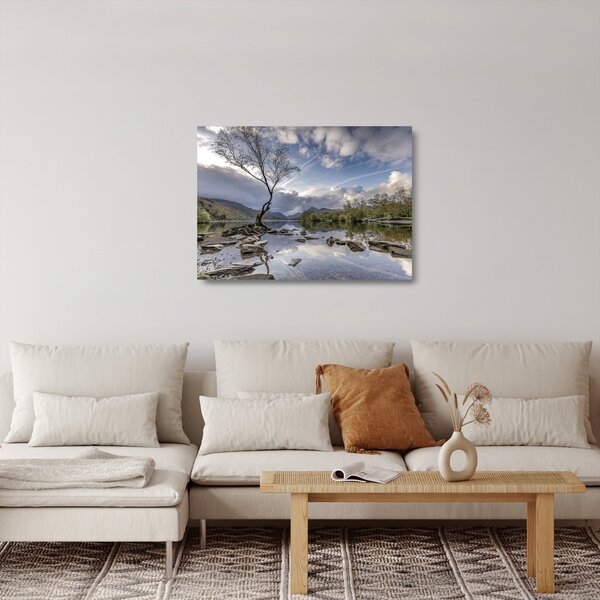 Obraz na szkle - rzeka z drzewem (70x50 cm)