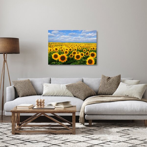 Obraz na szkle - pole słoneczników (70x50 cm)
