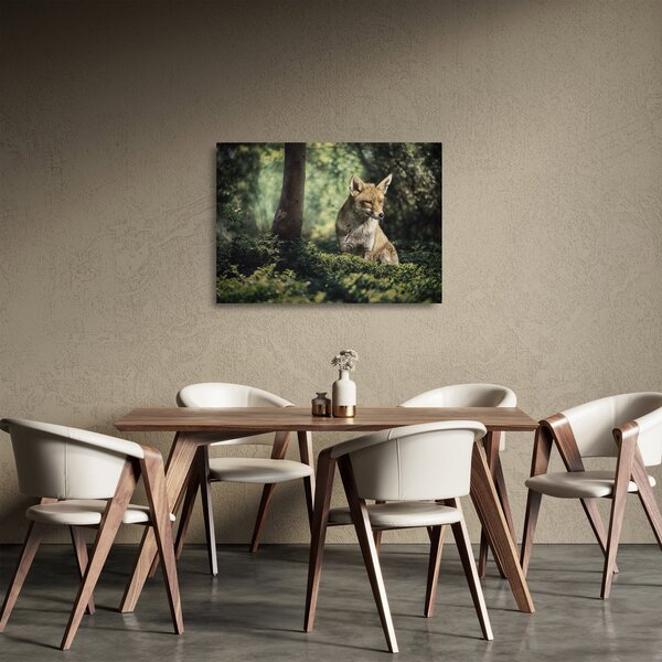 Obraz na szkle - lis (70x50 cm)