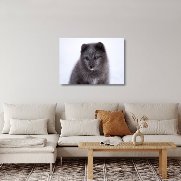 Obraz na szkle - lis śnieżny (70x50 cm)