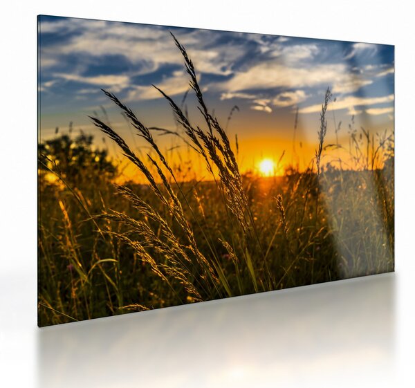 Obraz na szkle - pole o zachodzie słońca (70x50 cm)