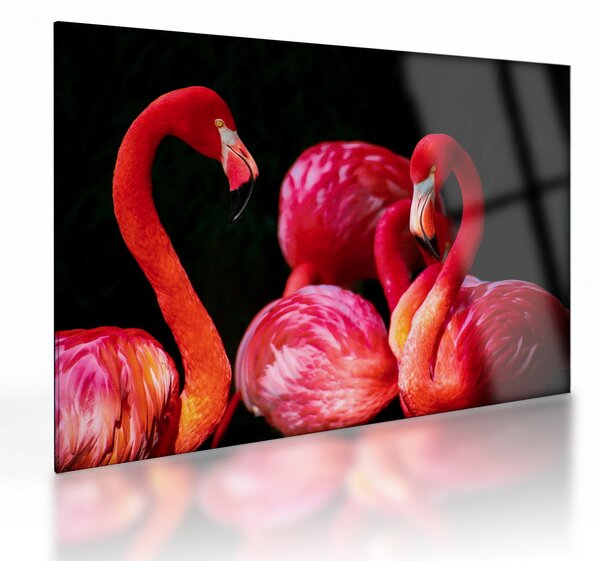 Obraz na szkle - czerwone flamingi (70x50 cm)
