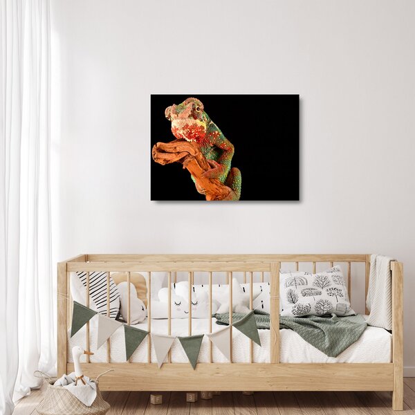 Obraz na szkle kameleona na gałęzi (70x50 cm)