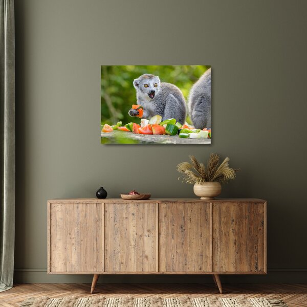 Obraz na szkle lemura (70x50 cm)