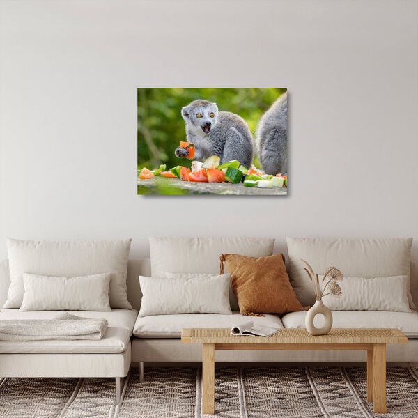Obraz na szkle lemura (70x50 cm)