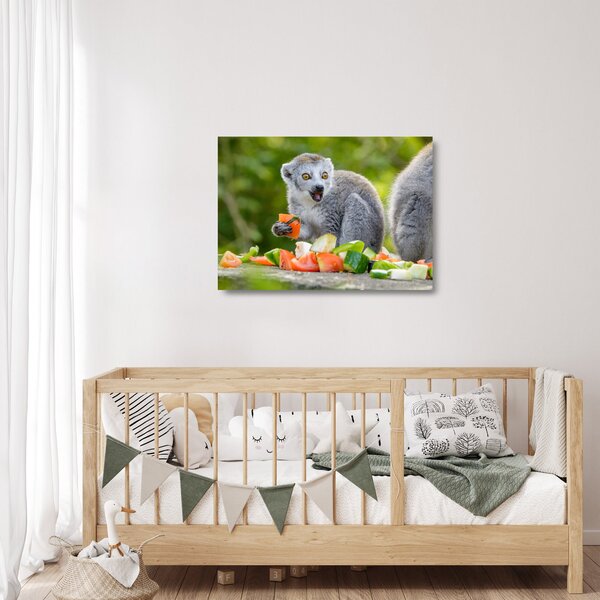 Obraz na szkle lemura (70x50 cm)