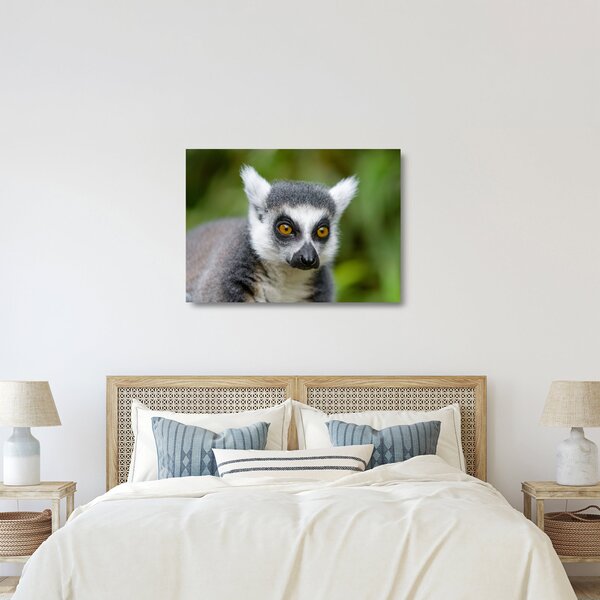 Obraz na szkle lemura (70x50 cm)