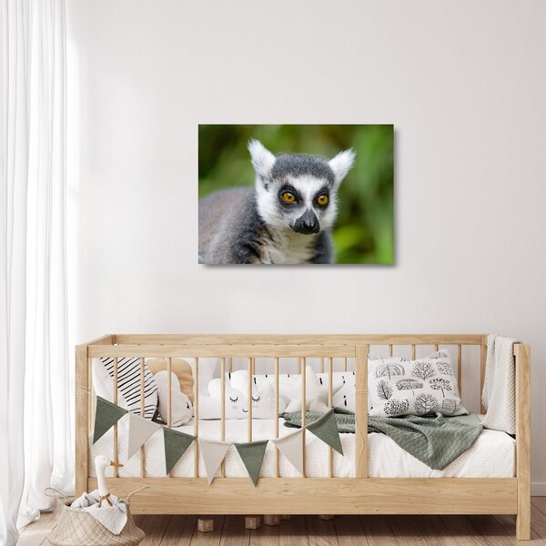 Obraz na szkle lemura (70x50 cm)