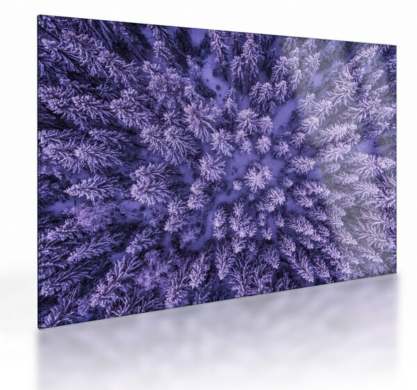 Obraz na szkle ośnieżonych drzew (70x50 cm)
