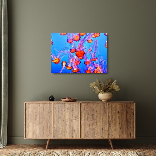 Obraz na szkle meduz w morzu (70x50 cm)