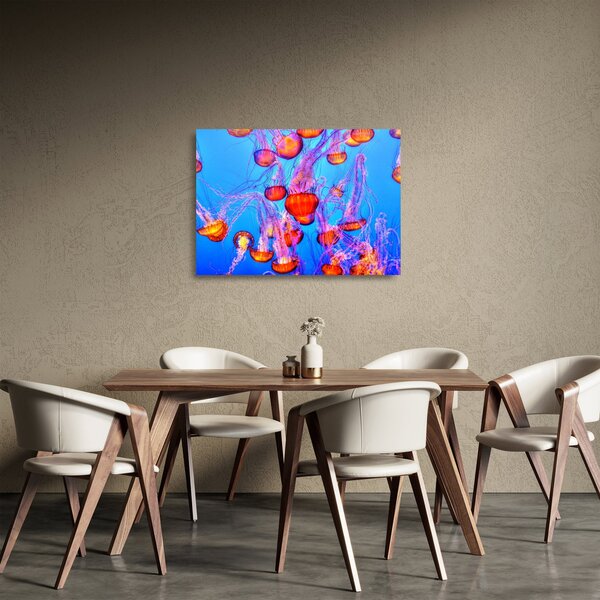 Obraz na szkle meduz w morzu (70x50 cm)