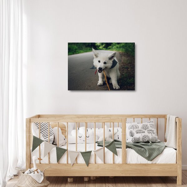 Obraz na szkle białego psa (70x50 cm)
