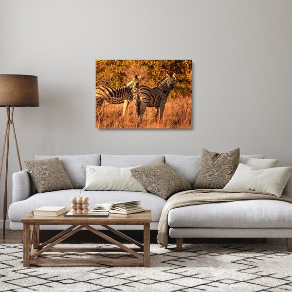 Obraz na szkle zebr (70x50 cm)