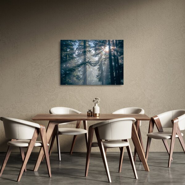 Obraz na szkle drzew, przez które prześwieca słońce (70x50 cm)