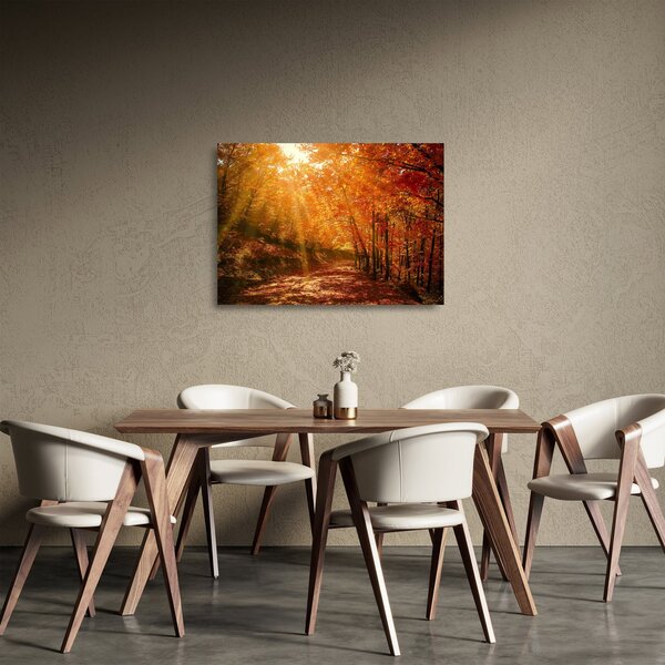 Obraz na szkle jesiennego lasu (70x50 cm)