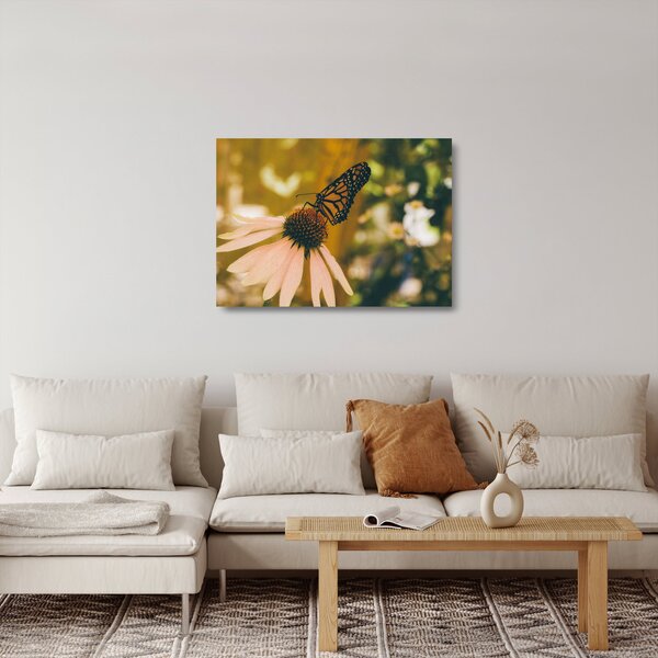 Obraz na szkle motyla na kwiatku (70x50 cm)