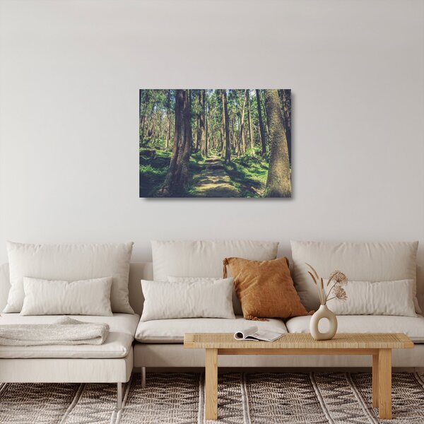 Obraz na szkle ścieżki pomiędzy drzewami (70x50 cm)