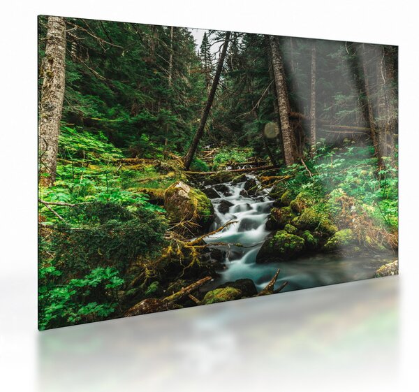 Obraz na szkle strumienia w lesie (70x50 cm)