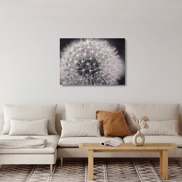 Obraz na szkle dmuchawca (70x50 cm)