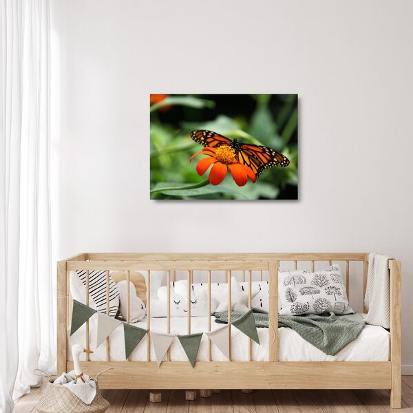 Obraz na szkle motyla na kwiatku (70x50 cm)
