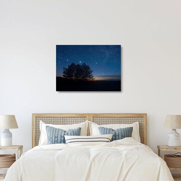 Obraz na szkle drzew w nocy (70x50 cm)