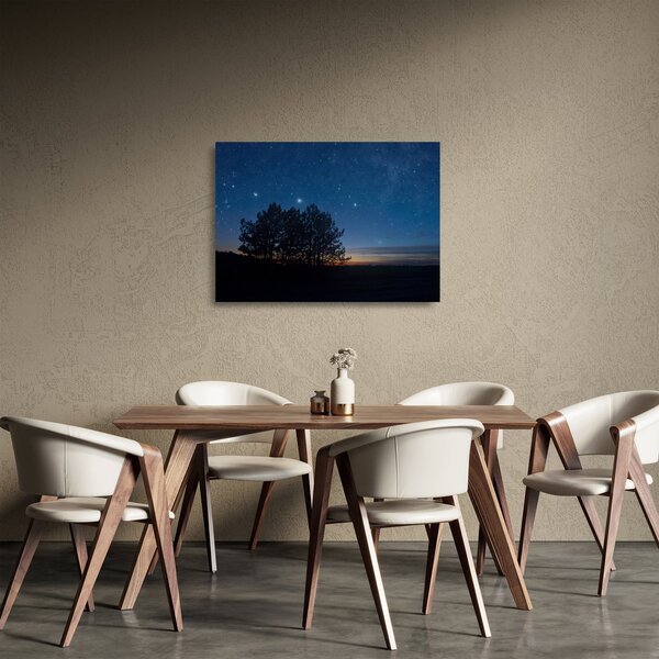 Obraz na szkle drzew w nocy (70x50 cm)
