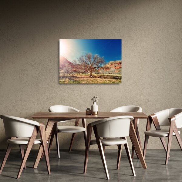 Obraz na szkle drzewa na pustyni (70x50 cm)