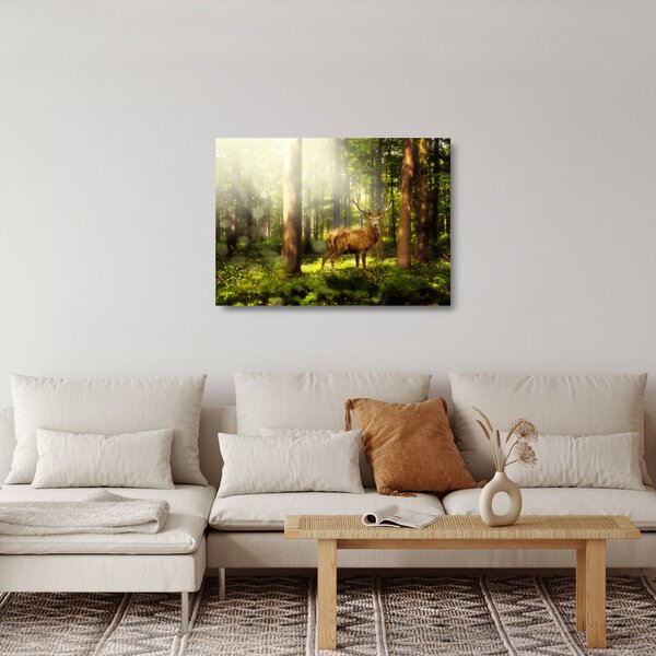 Obraz na szkle jelenia w lesie (70x50 cm)