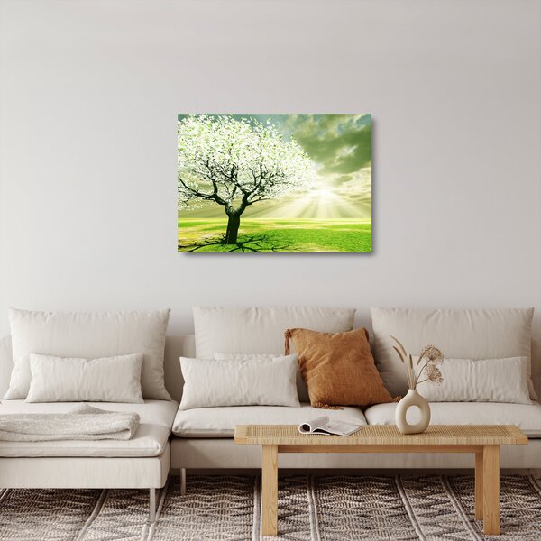 Obraz na szkle drzewa na łące (70x50 cm)