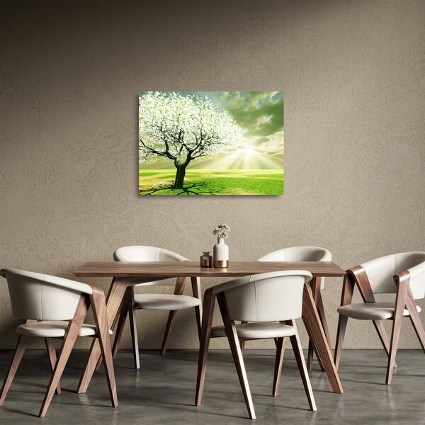 Obraz na szkle drzewa na łące (70x50 cm)