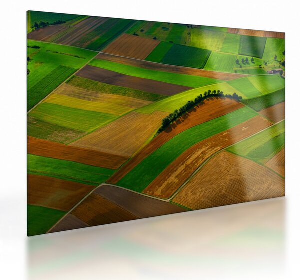Obraz na szkle - Pola, łąki (70x50 cm)