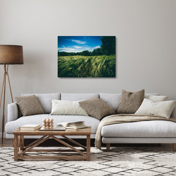 Obraz na szkle łąki i lasu (70x50 cm)