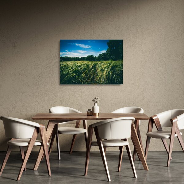 Obraz na szkle łąki i lasu (70x50 cm)