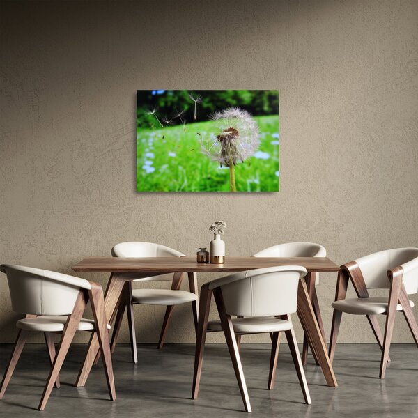 Obraz na szkle dmuchawca (70x50 cm)