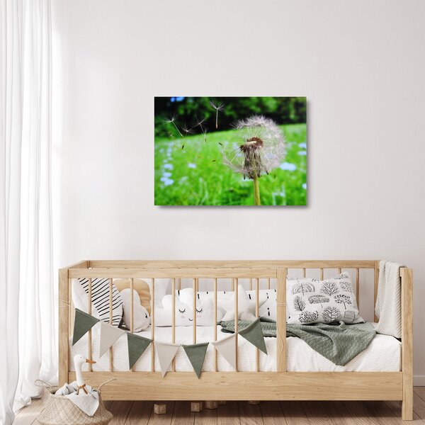 Obraz na szkle dmuchawca (70x50 cm)
